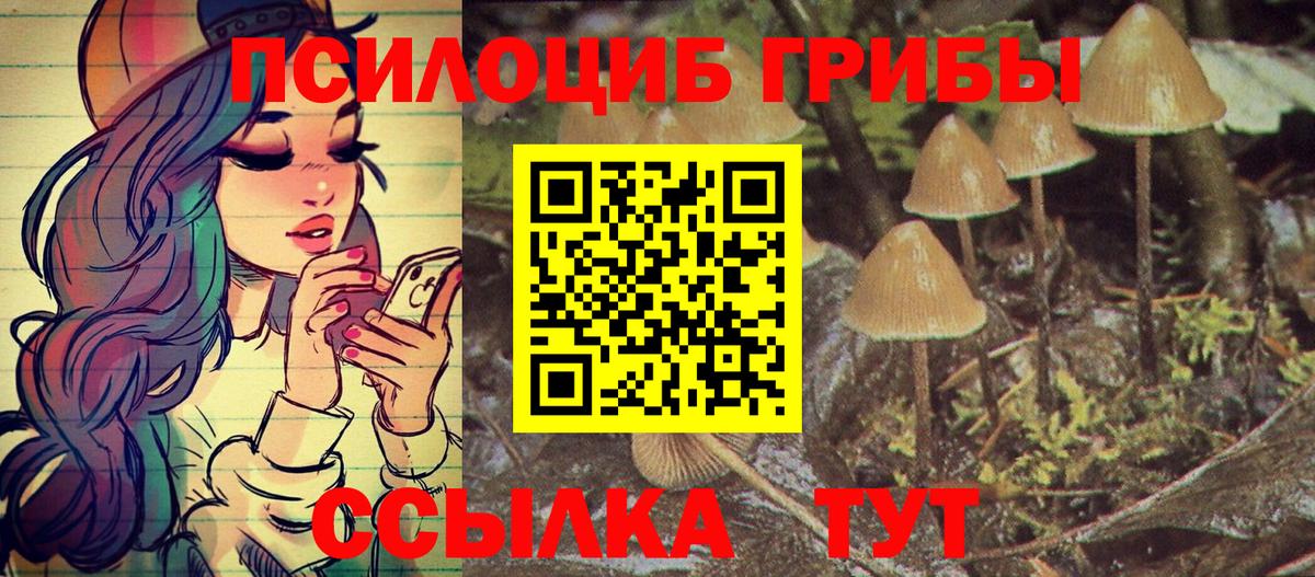 Оренбург  Псилоцибиновые грибы ЛСД  Вход с VPN 